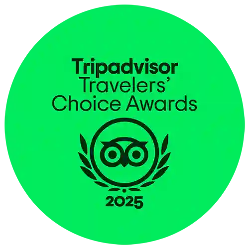 TripAdvisor 2025